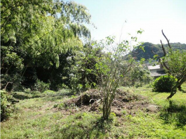 鹿児島市常盤、土地の画像です
