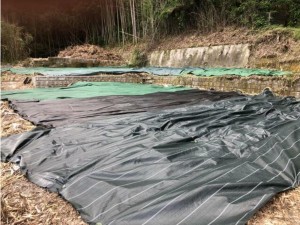 鹿児島市小野、土地の画像です