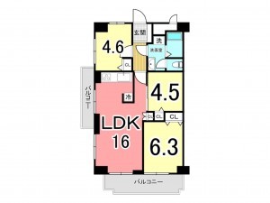 鹿児島市新照院町、マンションの間取り画像です