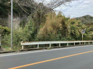 鹿児島市田上、土地の画像です