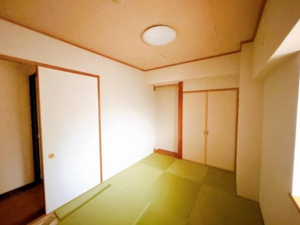 鹿児島市郡元町、マンションの画像です