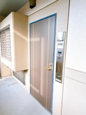 鹿児島市郡元町、マンションの画像です