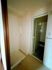 鹿児島市郡元町、マンションの画像です