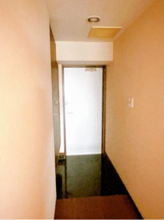 鹿児島市郡元町、マンションの画像です