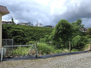 鹿児島市南新町、土地の画像です