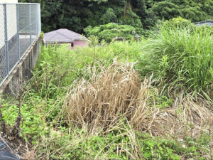 鹿児島市南新町、土地の画像です