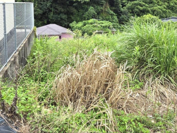 鹿児島市南新町、土地の画像です