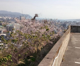 鹿児島市紫原、中古一戸建ての画像です