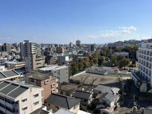 鹿児島市上荒田町、マンションの画像です