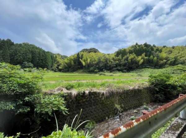 鹿児島市五ヶ別府町、土地の画像です