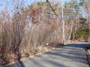 茅野市豊平、土地の画像です