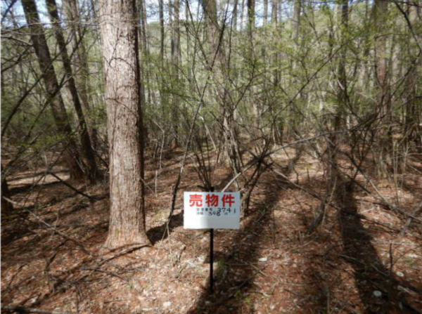 茅野市北山、土地の画像です