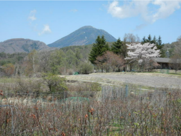 茅野市北山、土地の画像です