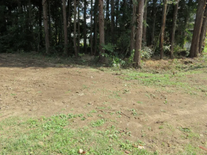 茅野市湖東、土地の画像です