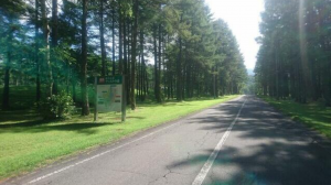 茅野市豊平、土地の画像です