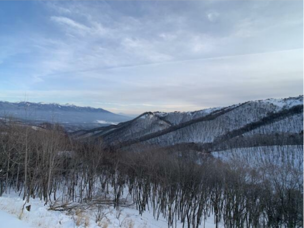 茅野市北山、マンションの画像です