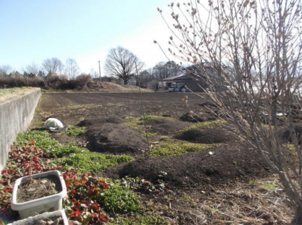 諏訪郡原村南原、土地の画像です