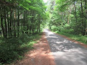 諏訪郡富士見町立沢、土地の画像です