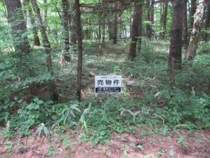 諏訪郡富士見町立沢、土地の画像です