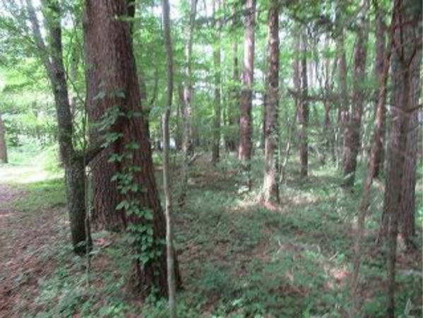 諏訪郡富士見町立沢、土地の画像です