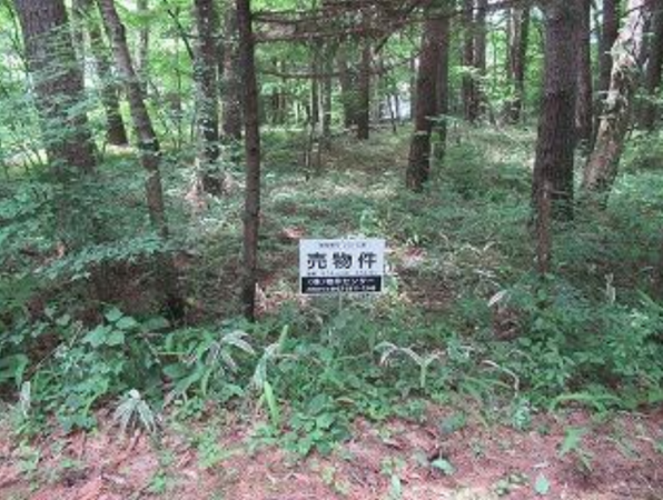 諏訪郡富士見町立沢、土地の画像です