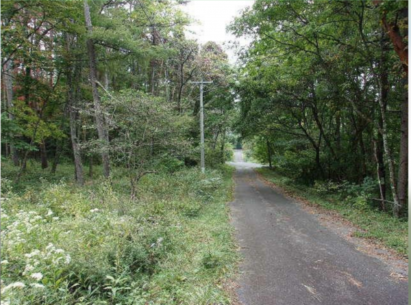 諏訪郡富士見町立沢、土地の画像です