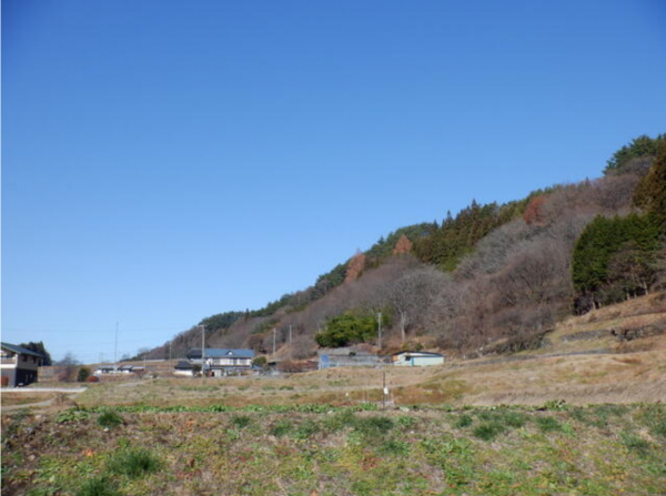 諏訪郡富士見町落合、土地の画像です