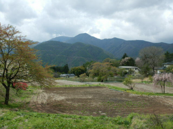 諏訪郡富士見町落合、土地の画像です