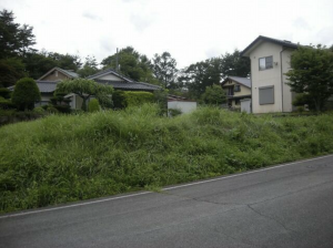 諏訪郡富士見町落合、土地の画像です