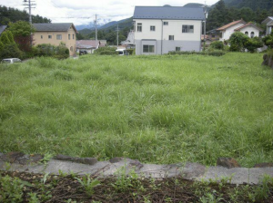 諏訪郡富士見町落合、土地の画像です