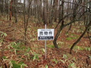 諏訪郡富士見町境、土地の画像です