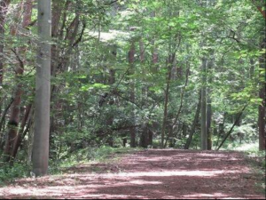 諏訪郡富士見町立沢、土地の画像です