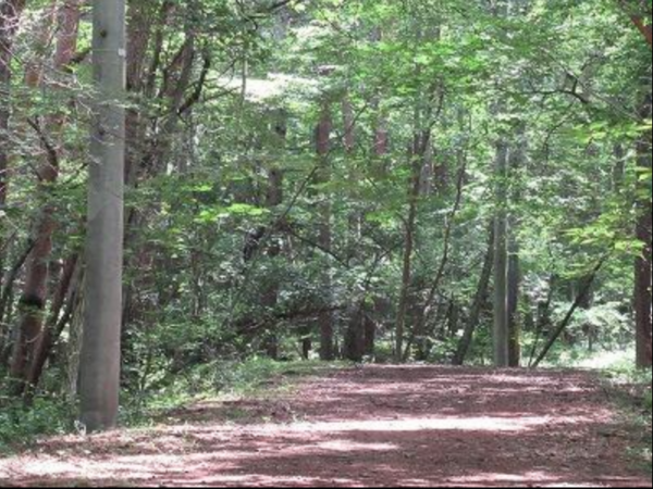 諏訪郡富士見町立沢、土地の画像です