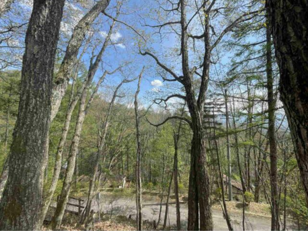 茅野市北山、中古一戸建ての画像です