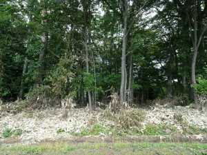 諏訪郡富士見町立沢、土地の画像です