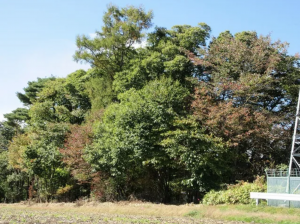 諏訪郡富士見町立沢、土地の画像です