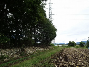 諏訪郡富士見町立沢、土地の画像です