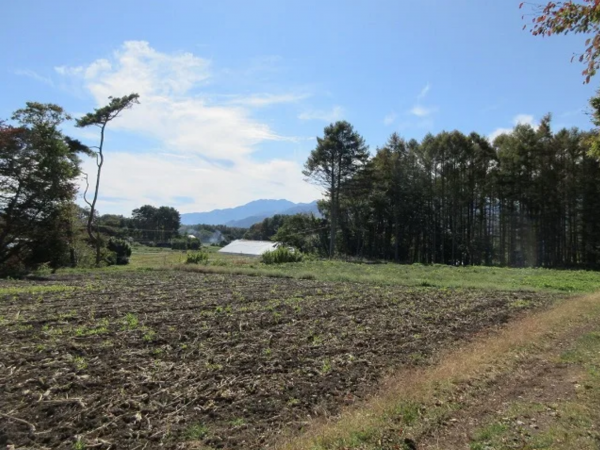 諏訪郡富士見町立沢、土地の画像です