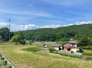 茅野市金沢、土地の画像です