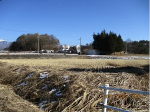 諏訪郡原村南原、土地の画像です