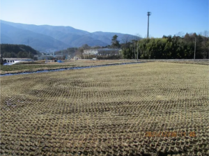 諏訪郡原村南原、土地の画像です