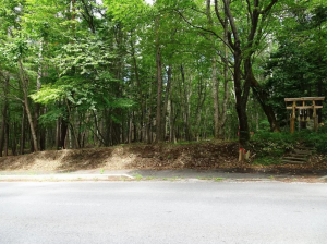 諏訪郡原村、土地の画像です