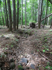 諏訪郡原村、土地の画像です