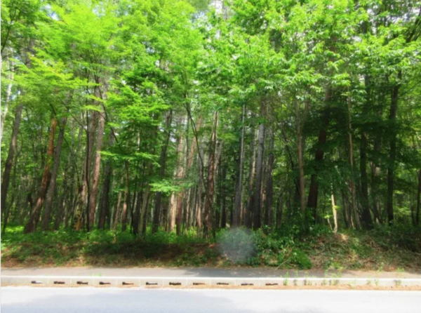 諏訪郡原村、土地の画像です