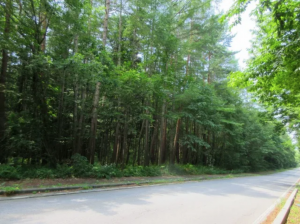 諏訪郡原村、土地の画像です