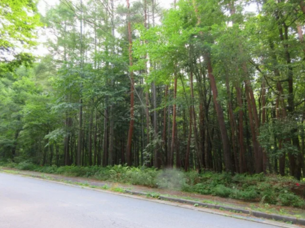 諏訪郡原村、土地の画像です