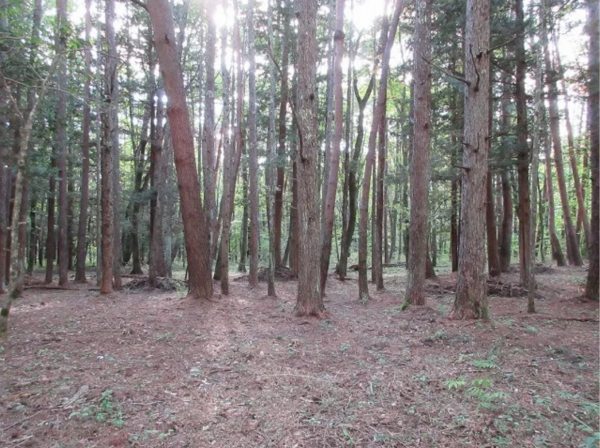 諏訪郡原村、土地の画像です