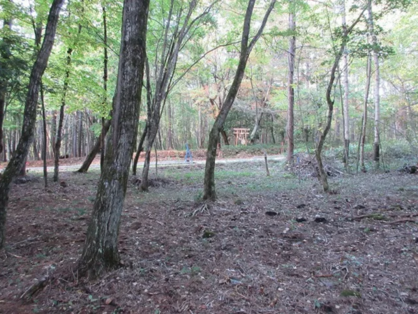 諏訪郡原村、土地の画像です