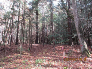 諏訪郡原村中新田、土地の画像です