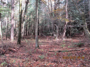 諏訪郡原村中新田、土地の画像です